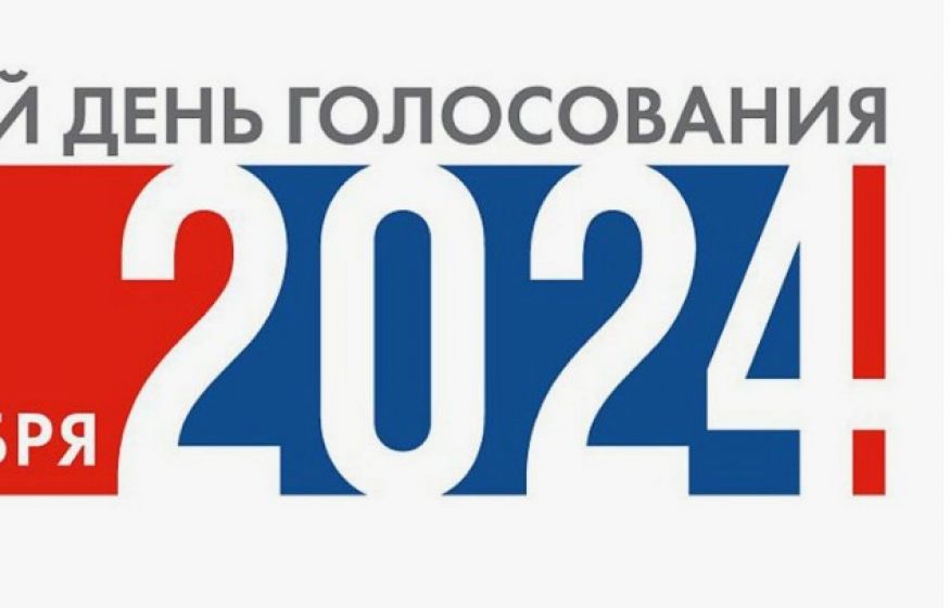 Что за голосование 8 сентября 2024 года